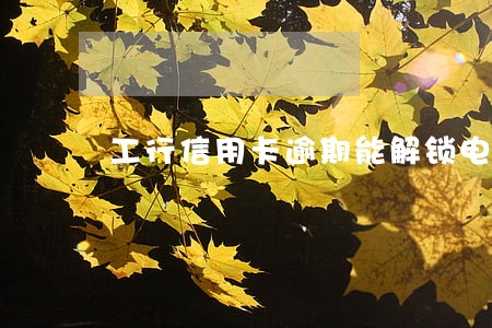 工行信用卡逾期能解锁电话吗
