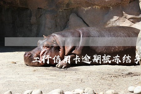 工行信用卡逾期被冻结多久会解 工行信用卡逾期被冻结多久会解