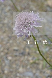工行信用卡逾期被吞 工行信用卡逾期被吞
