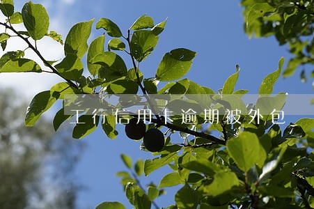 工行信用卡逾期被外包