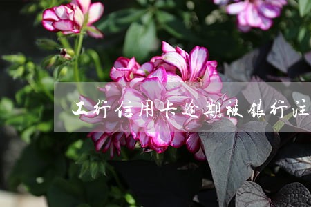 工行信用卡逾期被银行注销吗