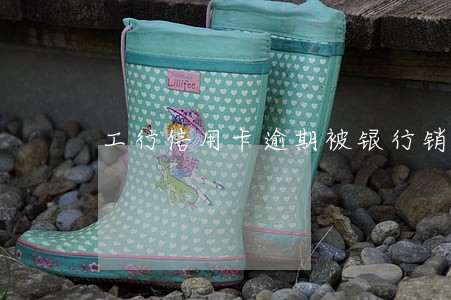 工行信用卡逾期被银行销卡怎么办 工行信用卡逾期被银行销卡怎么办