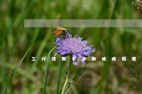 工行信用卡逾期被降额度 工行信用卡逾期被降额度