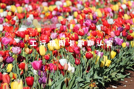 工行信用卡逾期认定 工行信用卡逾期认定