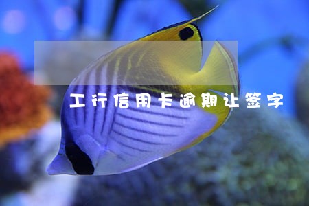 工行信用卡逾期让签字 工行信用卡逾期让签字