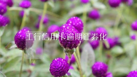 工行信用卡逾期证券化 工行信用卡逾期证券化