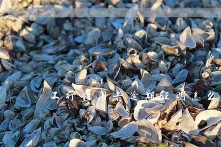 工行信用卡逾期证明怎么开