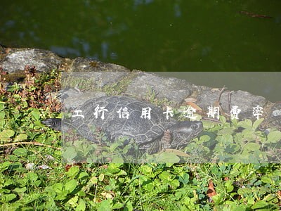 工行信用卡逾期费率 工行信用卡逾期费率