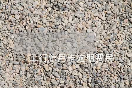 工行信用卡逾期费用 工行信用卡逾期费用