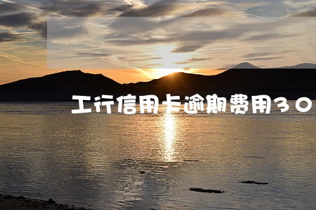 工行信用卡逾期费用3000 工行信用卡逾期费用3000