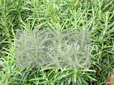 工行信用卡逾期还不上 工行信用卡逾期还不上