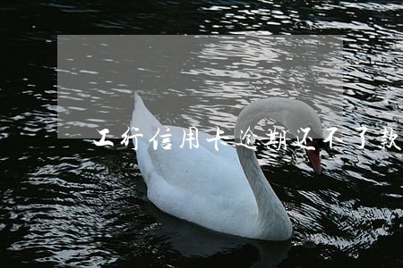工行信用卡逾期还不了款 工行信用卡逾期还不了款