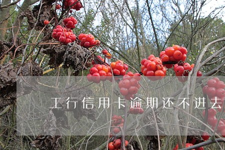 工行信用卡逾期还不进去 工行信用卡逾期还不进去