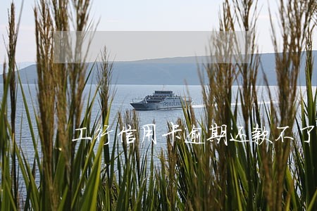 工行信用卡逾期还款不了 工行信用卡逾期还款不了