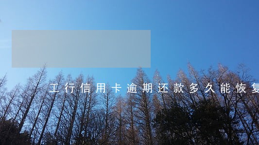 工行信用卡逾期还款多久能恢复 工行信用卡逾期还款多久能恢复