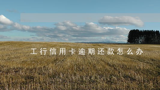 工行信用卡逾期还款怎么办 工行信用卡逾期还款怎么办