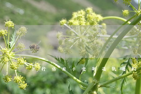 工行信用卡逾期还款违约金 工行信用卡逾期还款违约金
