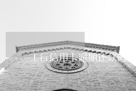 工行信用卡逾期还款透支利息