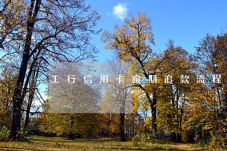 工行信用卡逾期追款流程 工行信用卡逾期追款流程