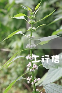 工行信用卡逾期重组能做几次 工行信用卡逾期重组能做几次
