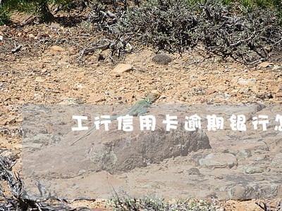工行信用卡逾期银行怎么处理 工行信用卡逾期银行怎么处理