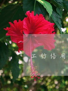 工行信用卡逾期银行扣款多久 工行信用卡逾期银行扣款多久