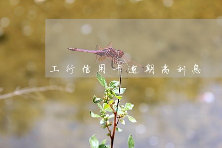工行信用卡逾期高利息