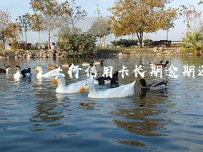工行信用卡长期逾期还不进去钱