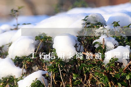 工行信用卡降额逾期严重吗 工行信用卡降额逾期严重吗