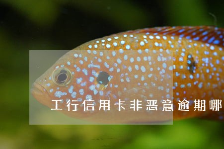 工行信用卡非恶意逾期哪里开 工行信用卡非恶意逾期哪里开