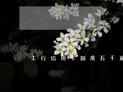 工行信用卡额度五千逾期4年 工行信用卡额度五千逾期4年