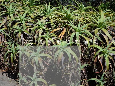 工行信用贷款逾期一次 工行信用贷款逾期一次
