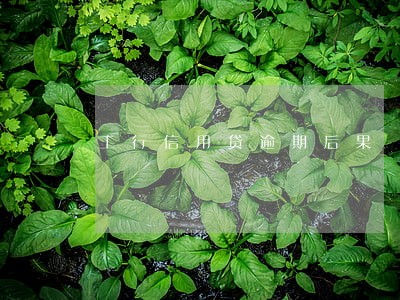 工行信用贷逾期后果 工行信用贷逾期后果