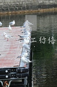 工行信用逾期一天有记录吗
