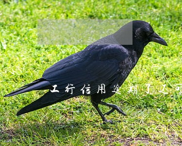工行信用逾期了还可以办分期还吗 工行信用逾期了还可以办分期还吗