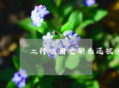 工行信用逾期未还被催 工行信用逾期未还被催