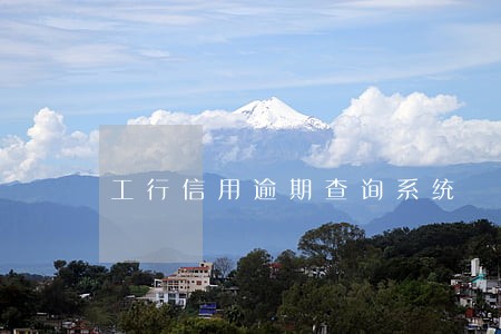 工行信用逾期查询系统 工行信用逾期查询系统