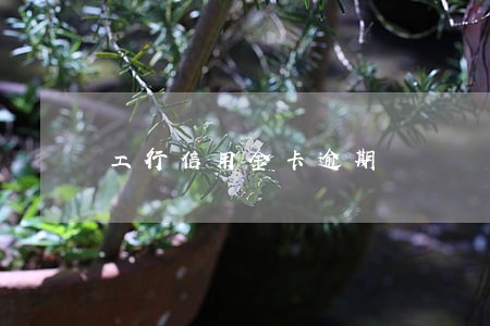 工行信用金卡逾期 工行信用金卡逾期