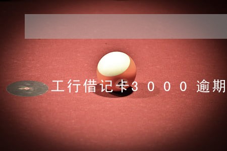 工行借记卡3000逾期 工行借记卡3000逾期