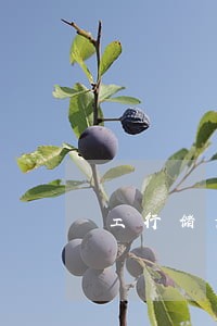 工行储蓄卡因为信用卡逾期锁定 工行储蓄卡因为信用卡逾期锁定