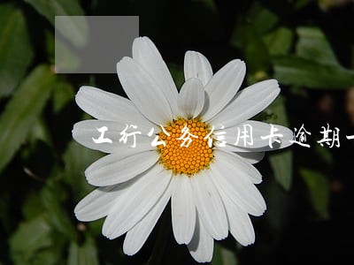 工行公务信用卡逾期一天后果 工行公务信用卡逾期一天后果