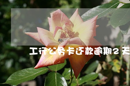 工行公务卡还款逾期2天 工行公务卡还款逾期2天