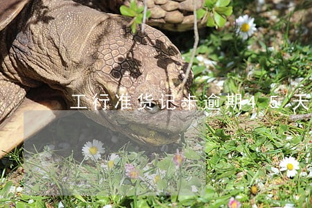 工行准货记卡逾期45天怎么办