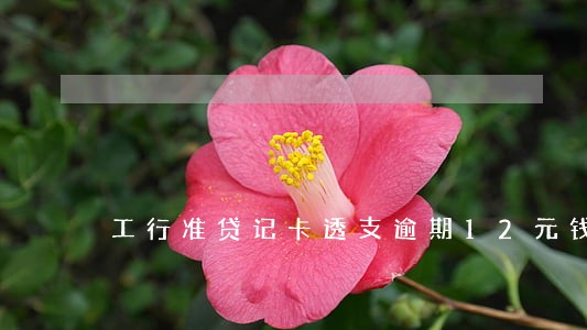 工行准贷记卡透支逾期12元钱