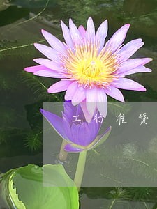 工行准贷记逾期4个月 工行准贷记逾期4个月