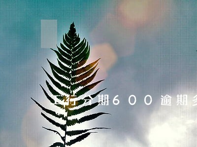 工行分期600逾期多久 工行分期600逾期多久