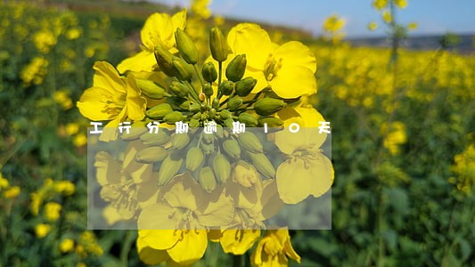 工行分期逾期10天 工行分期逾期10天