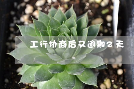 工行协商后又逾期2天 工行协商后又逾期2天