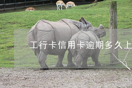 工行卡信用卡逾期多久上征信 工行卡信用卡逾期多久上征信