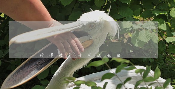 工行卡被外地司法冻结
